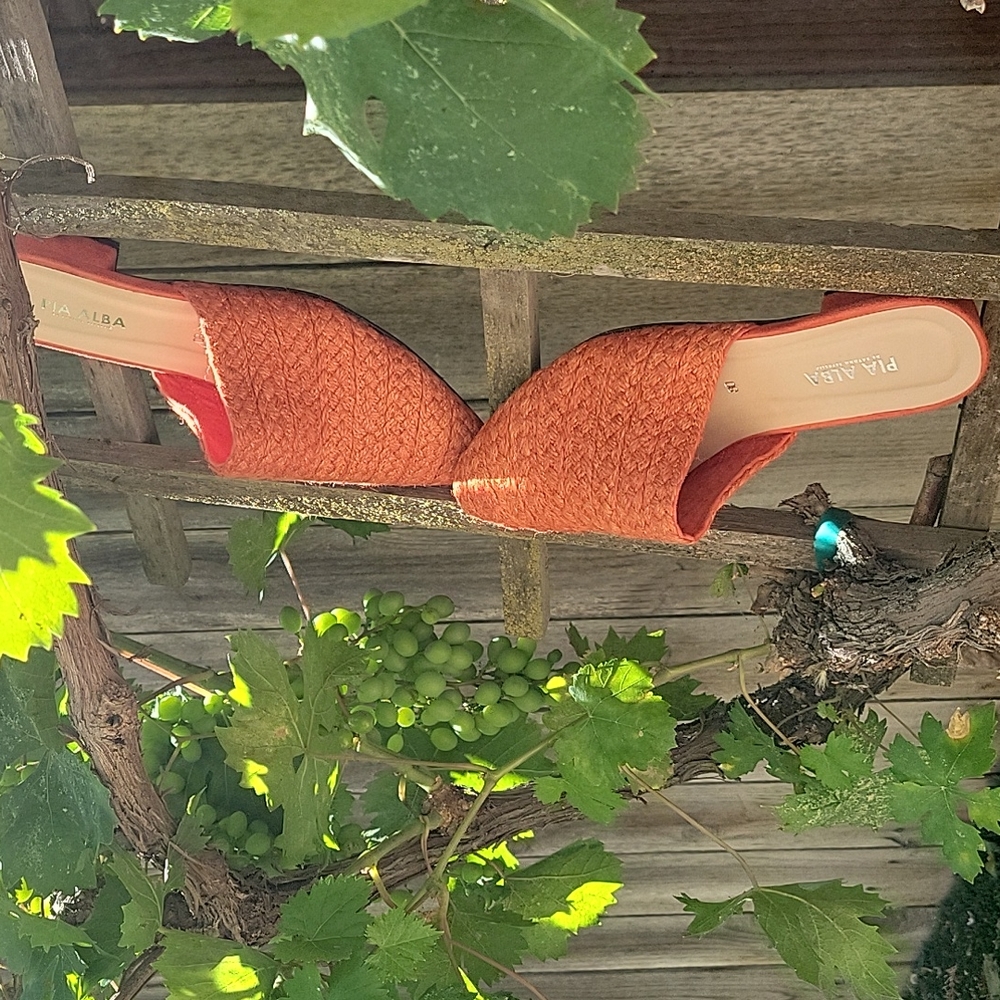 Native Mules - Picture 3 of 6